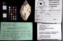 Foto (Objket + Etiketten) von Culmenformosa sp. 